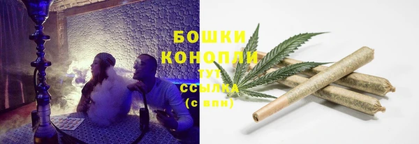 стаф Зеленодольск