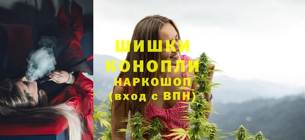 стаф Зеленодольск