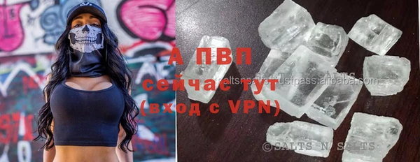 стаф Зеленодольск