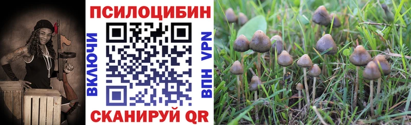 Купить закладки  Бор  Псилоцибиновые грибы MAGIC MUSHROOMS 